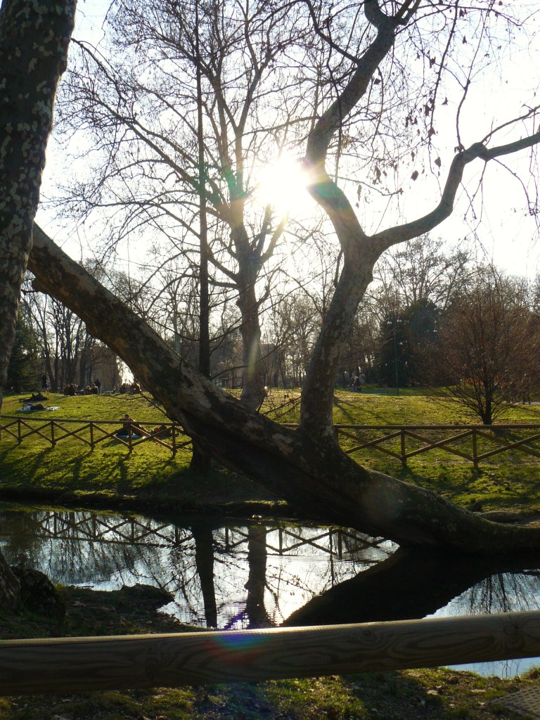 milan-sempione-park-lake