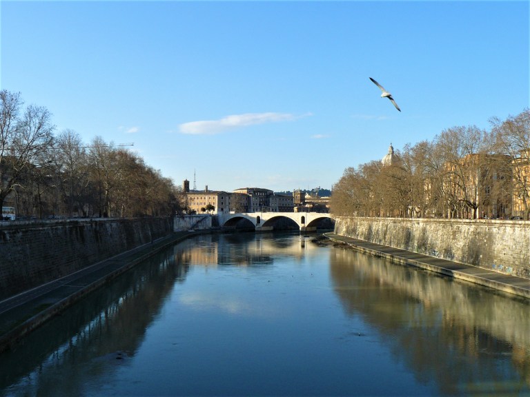 rome-river-and-bird