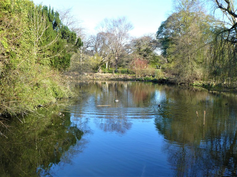 Edinburgh Botanic Gardens pond