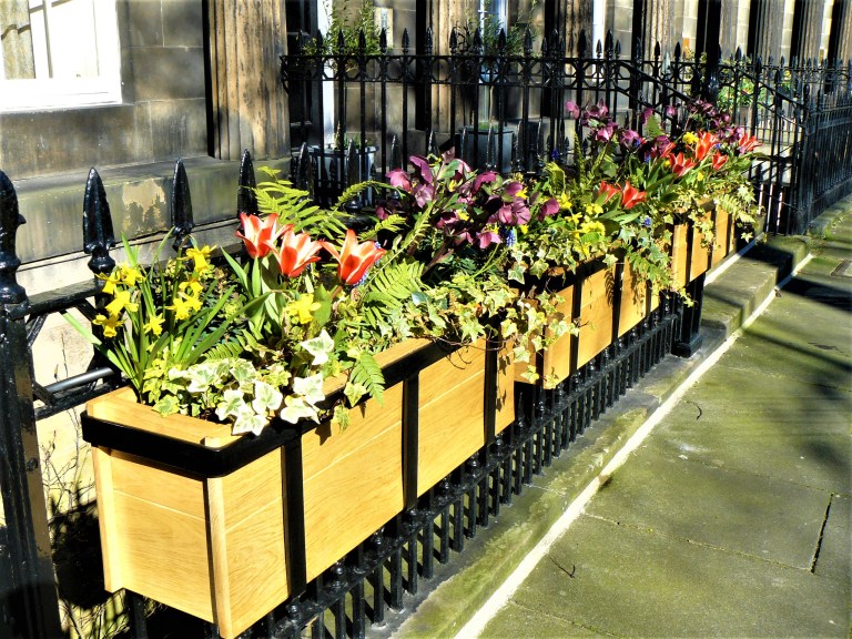 Edinburgh flowers