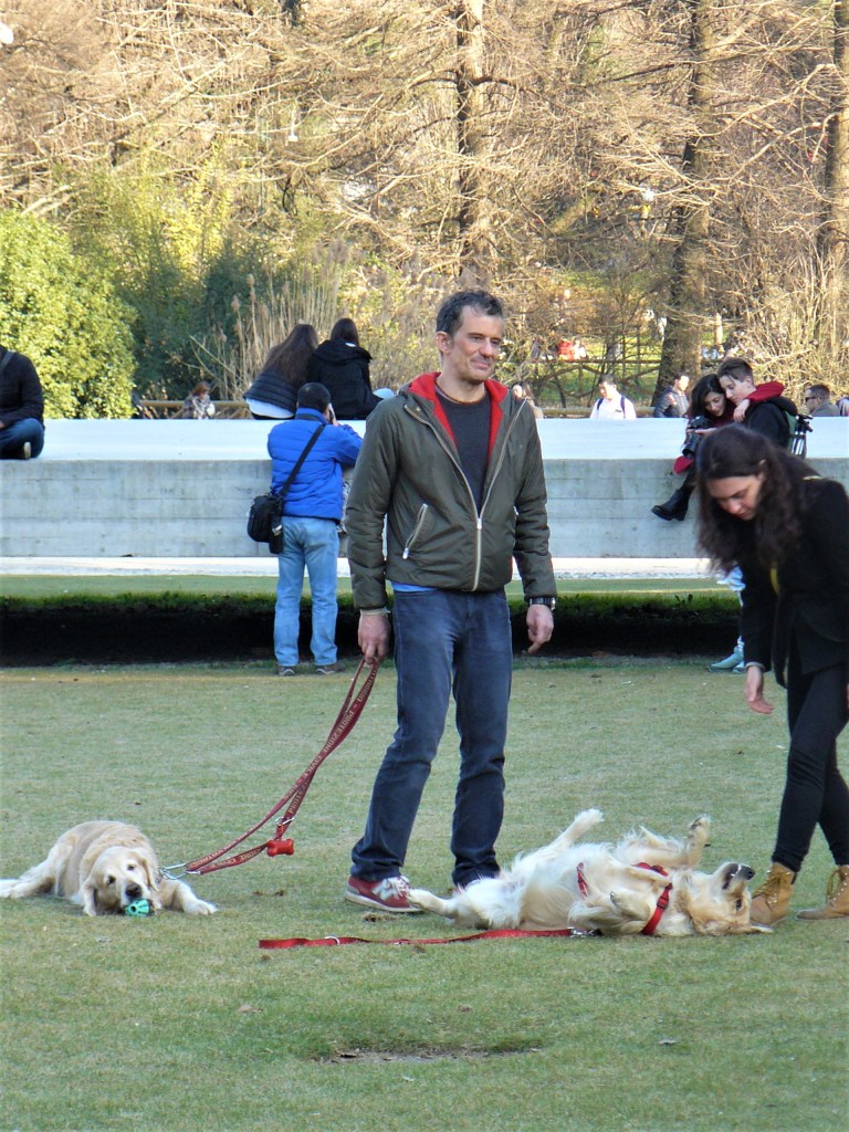 milan-people-in-the-park-with-their-dogs