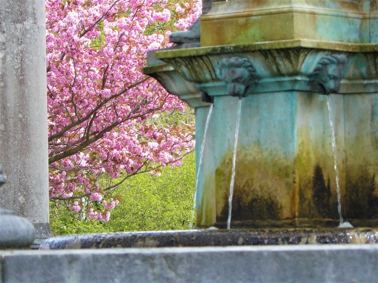cardiff alexandra gardens rust