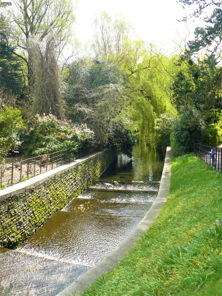 cardiff roath park water