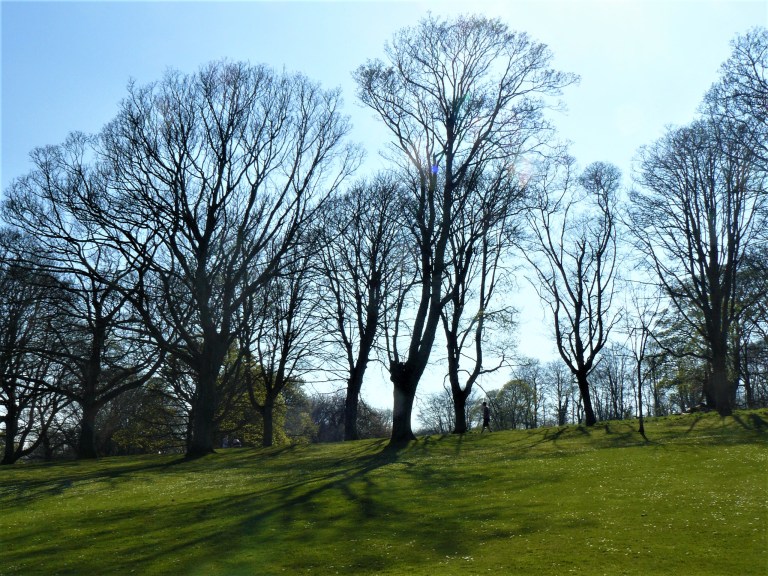 Kirkcaldy Beveridge Park 3