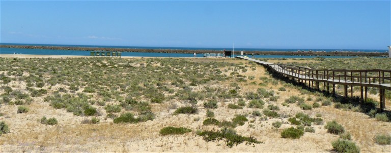 faro ilha deserta 3