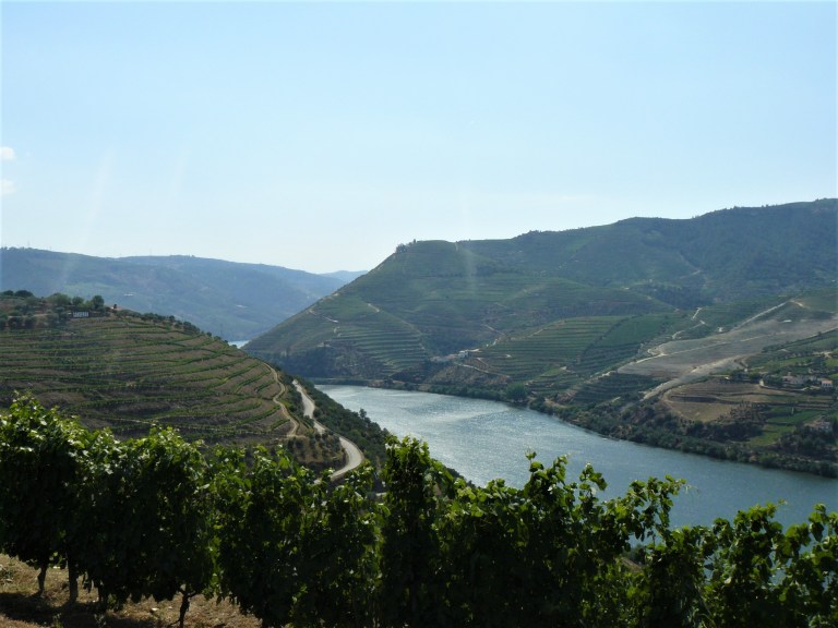 porto douro 8