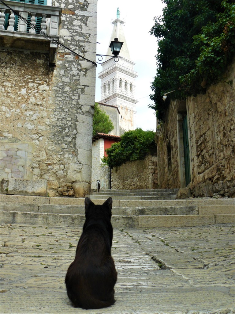 rovinj town 6