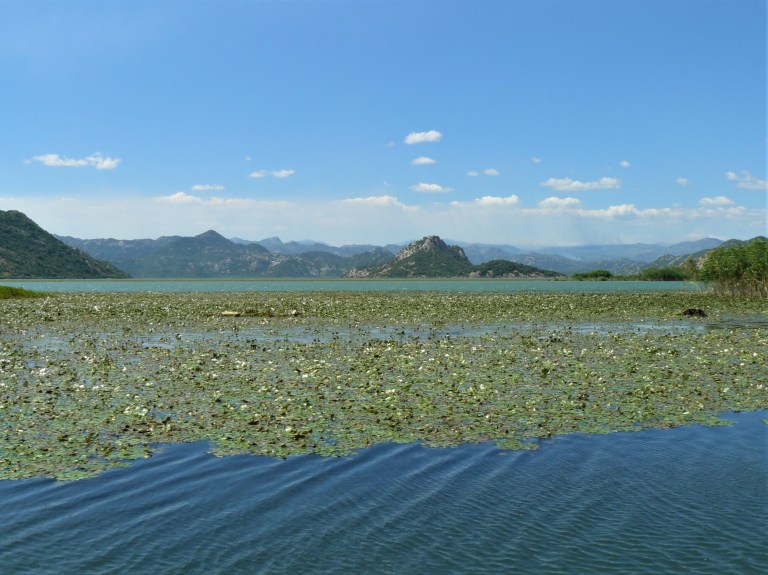 montenegro lake skadar