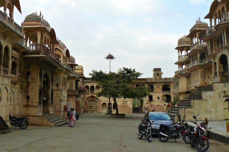 jaipur monkey temple 1