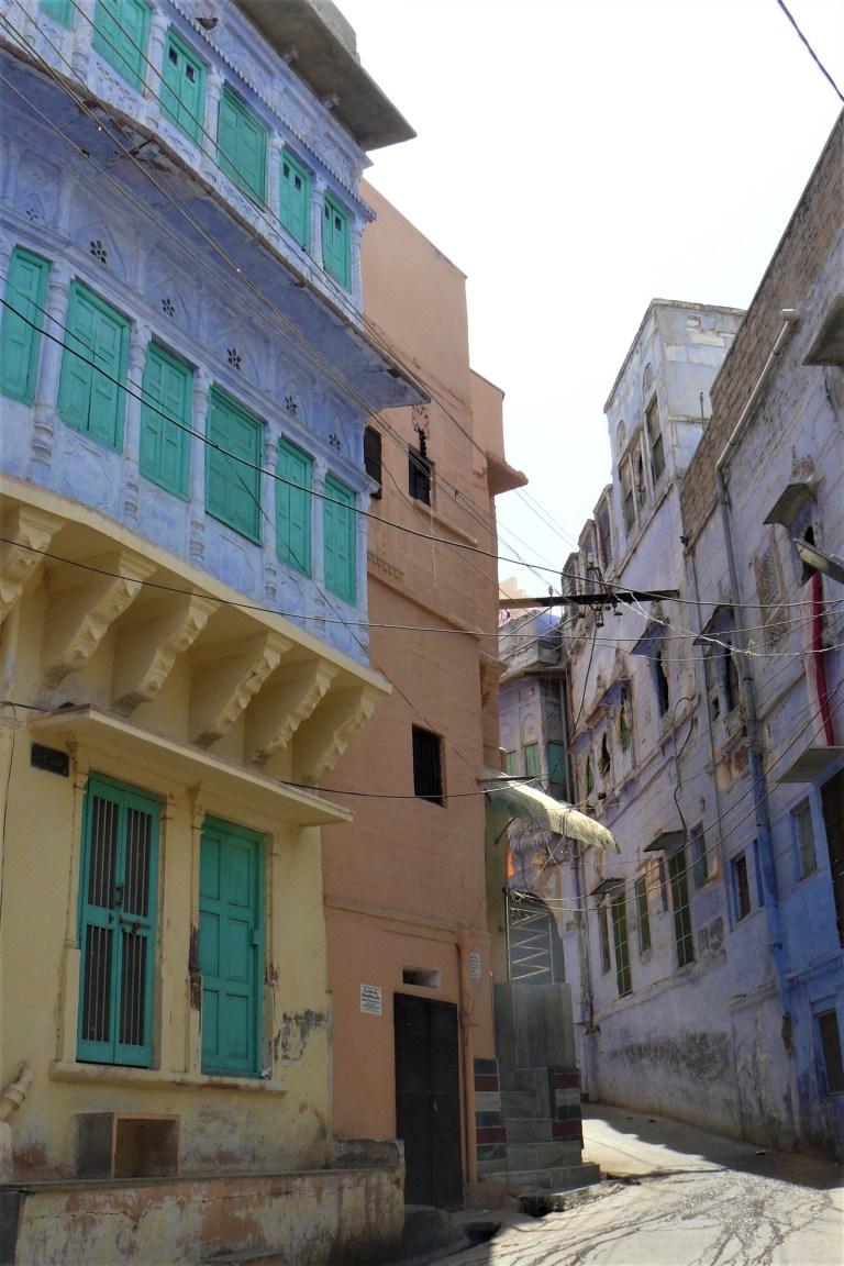 jodhpur blue city 9