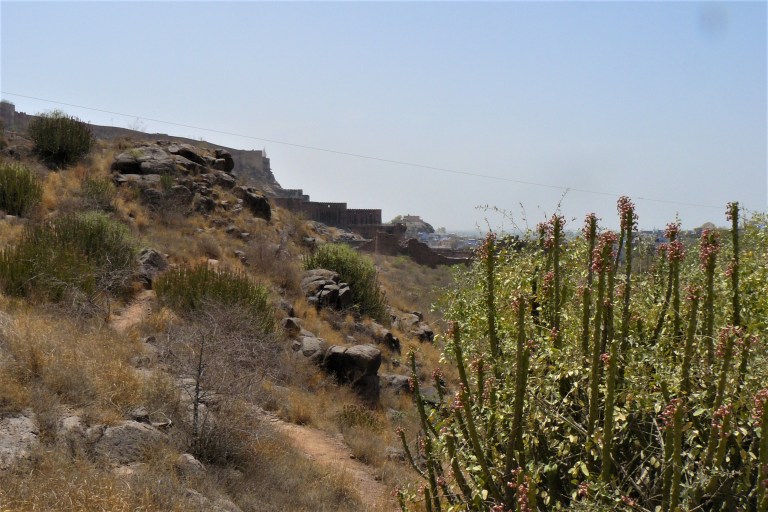 jodhpur rock garden 3