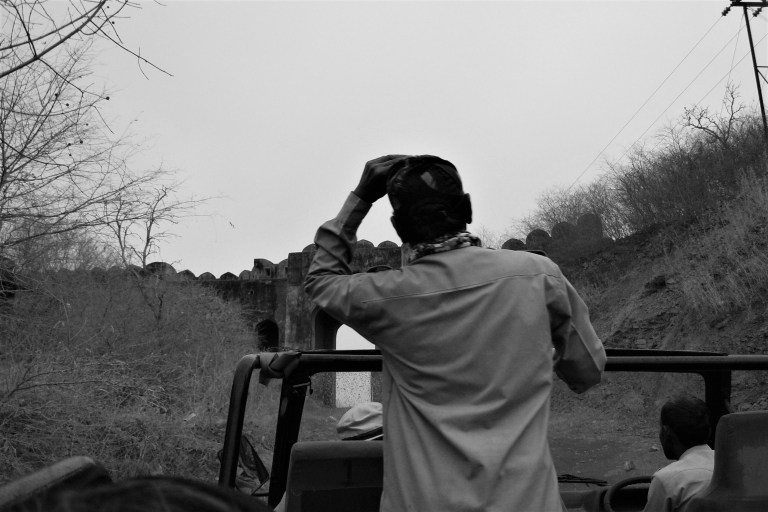 ranthambhore canter safari 1