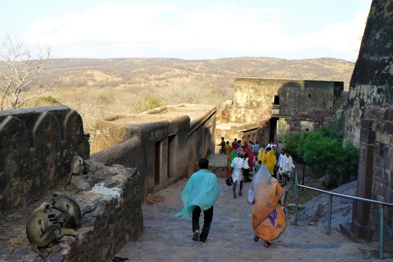 ranthambhore fort 5