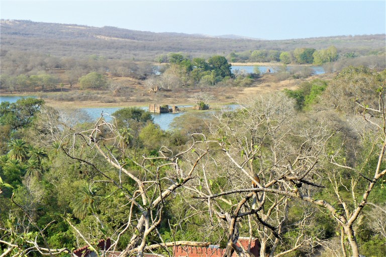 ranthambhore fort 6