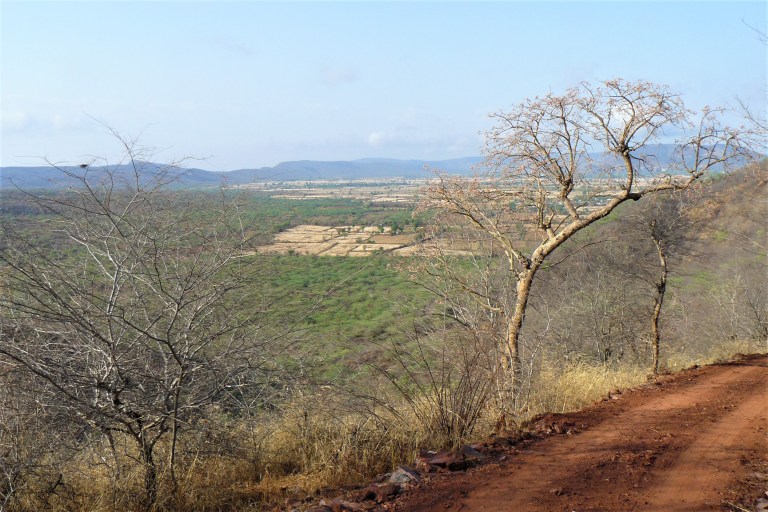 ranthambhore jeep safari 3