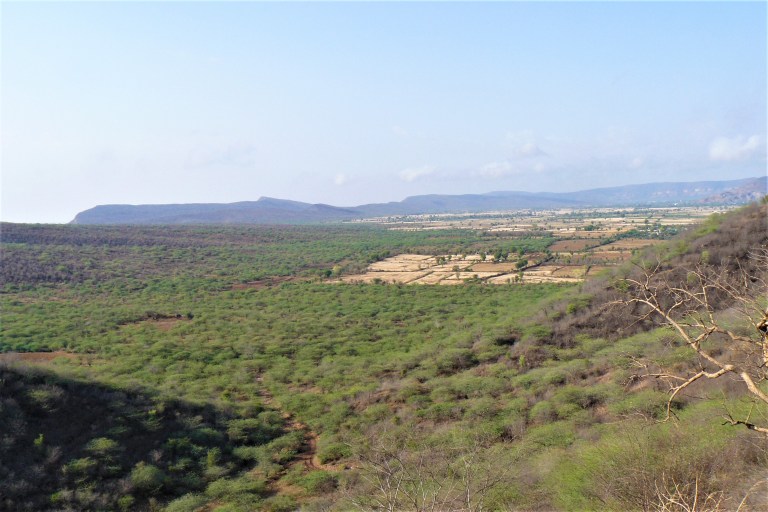 ranthambhore jeep safari 5