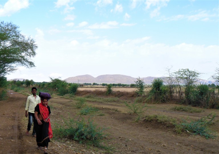 ranthambhore jeep safari 8