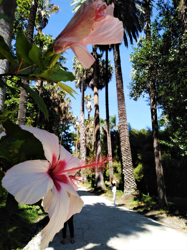 lisbon botanical gardens 4