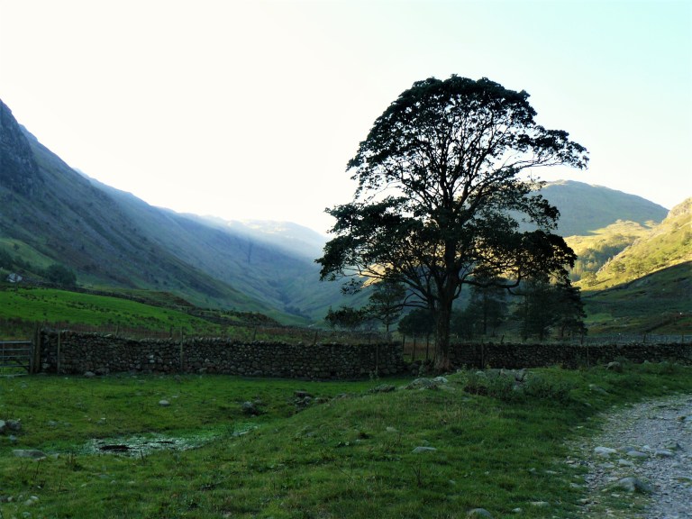 lake district morning 1