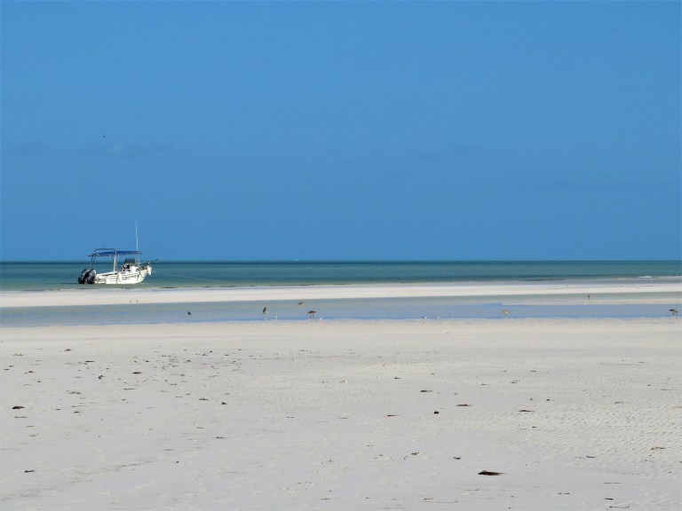 Mexico Isla Holbox 6 Beach 3