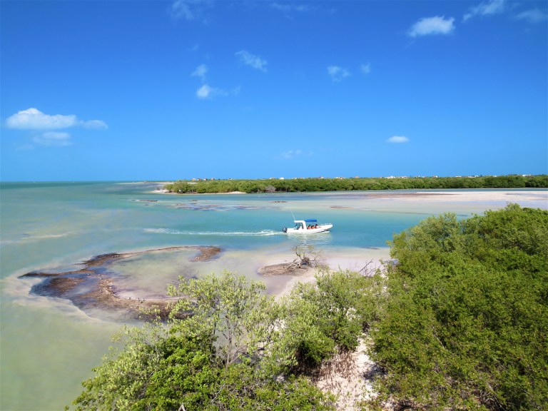Mexico Isla Holbox 7 Island Trip 6