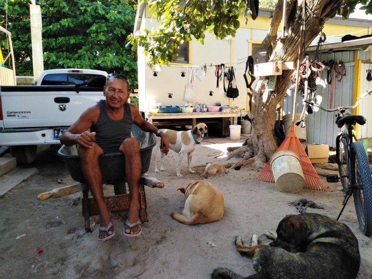Belize Caye Caulker Animal Shelter 1
