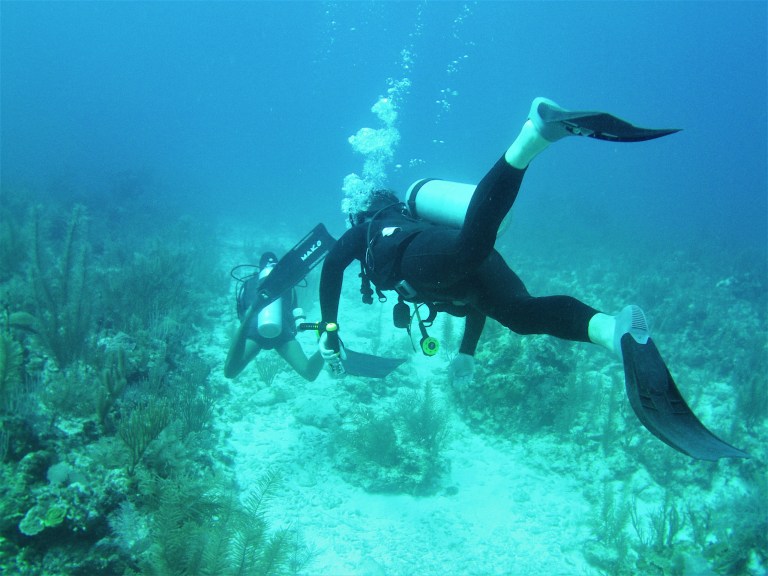 Belize Caye Caulker Diving 29