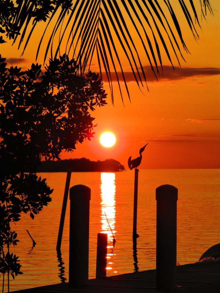 Belize Caye Caulker Sunset 1