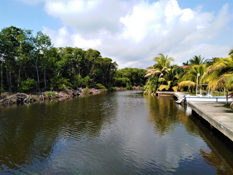 Belize Hopkins Cycle 1