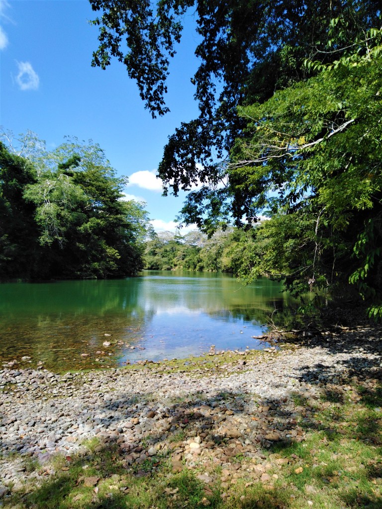 Belize San Ignacio Carmelita Gardens 10