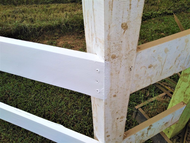 Belize San Ignacio Carmelita Gardens 4