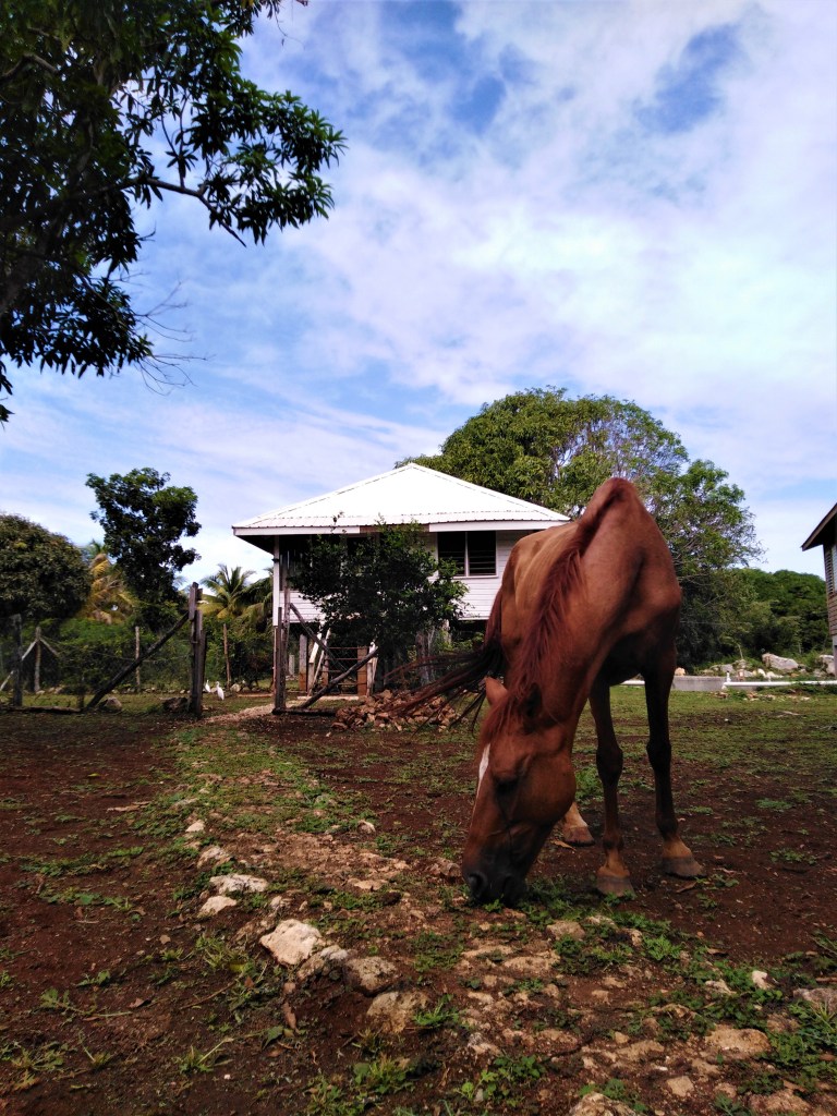 Belize Sarteneja Backpackers Paradise 1