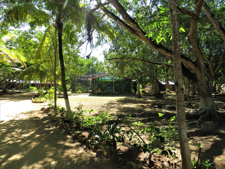 Belize Sarteneja Shipstern Nature Reserve 1