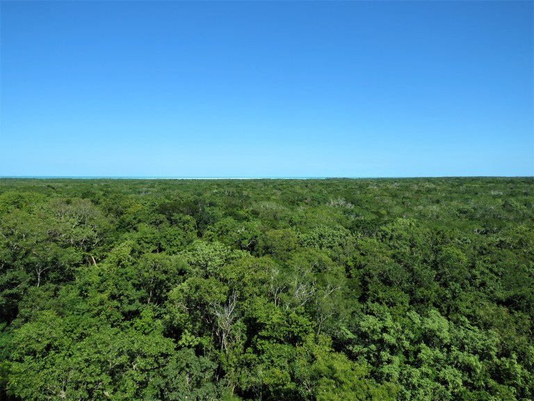 Belize Sarteneja Shipstern Nature Reserve 16