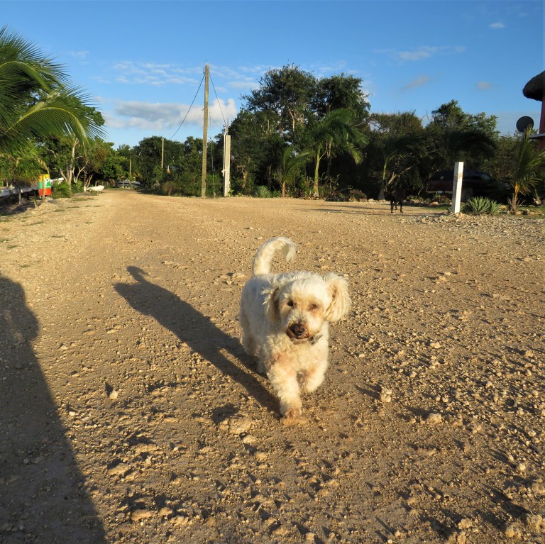 Belize Sarteneja Village 7