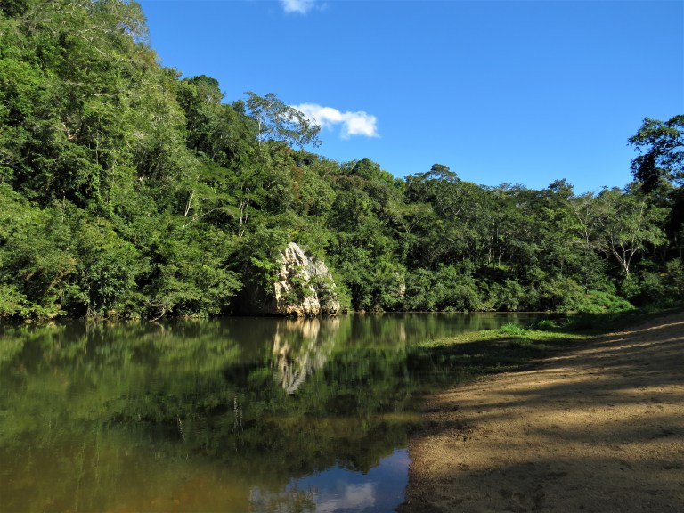 Belize San Ignacio Botanical Gardens 15