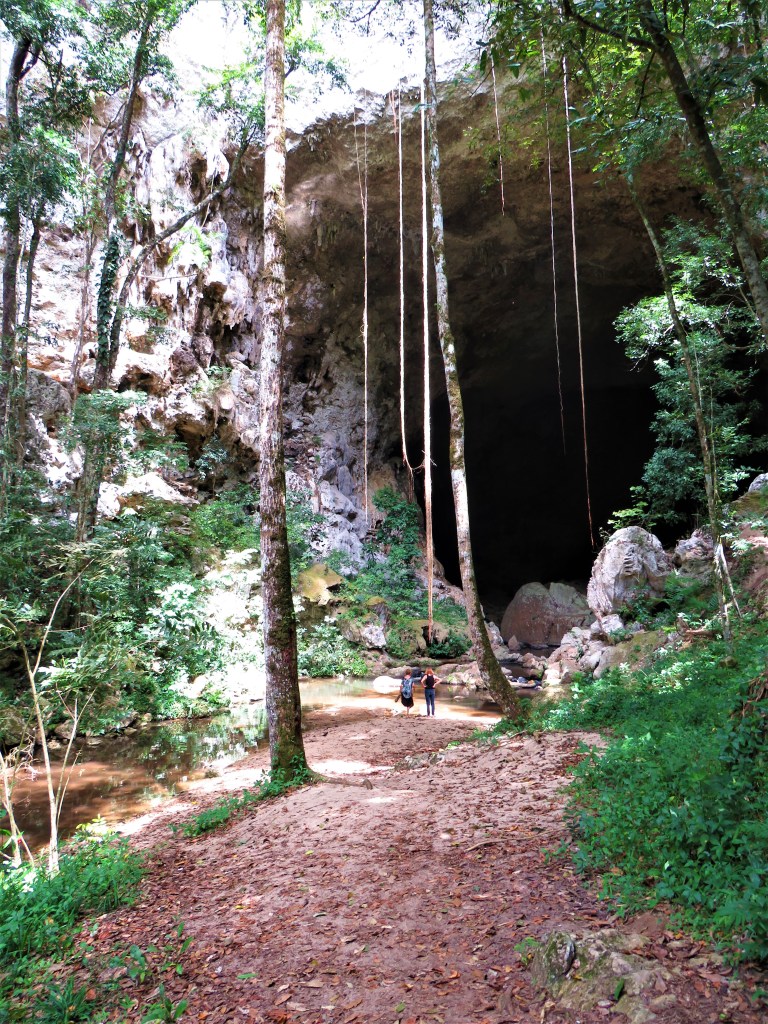 Belize San Ignacio Mountain Pine Ridge 10