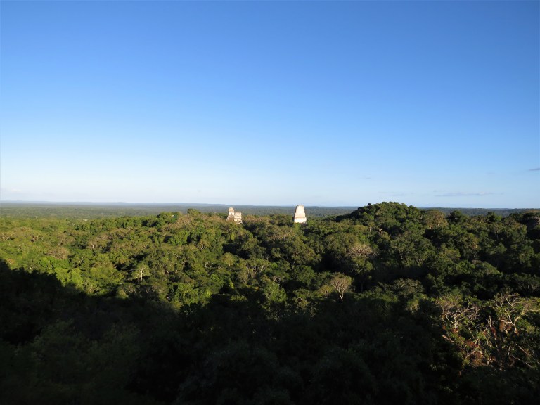 Guatemala Tikal 9